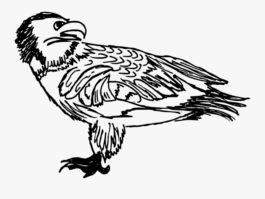 Png File Size Perching Bird- - Perching Bird, Transparent Clipart