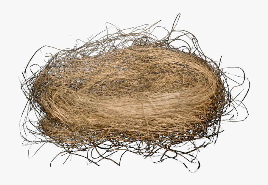 Birds Nest Png - Nest With Clear Background, Transparent Clipart