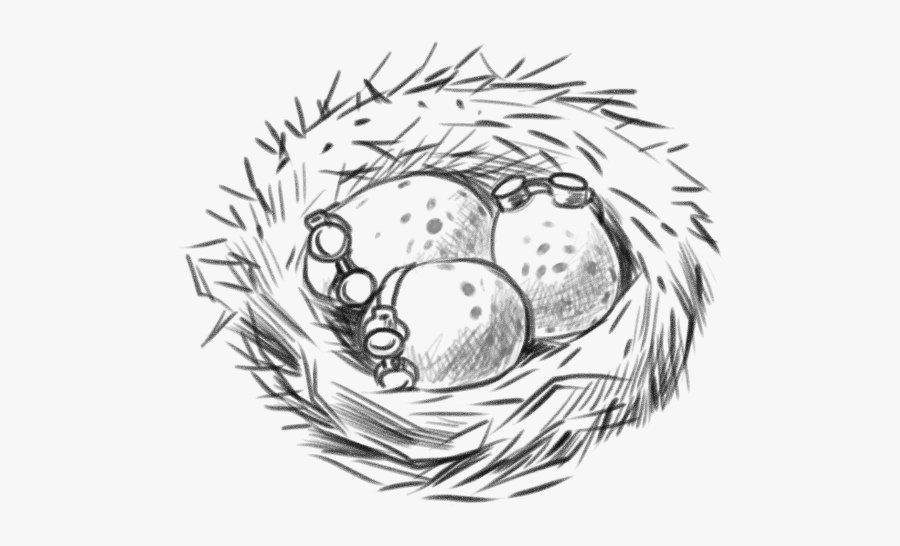 Png Transparent Stock Nest Black And White Clipart - Sketch, Transparent Clipart
