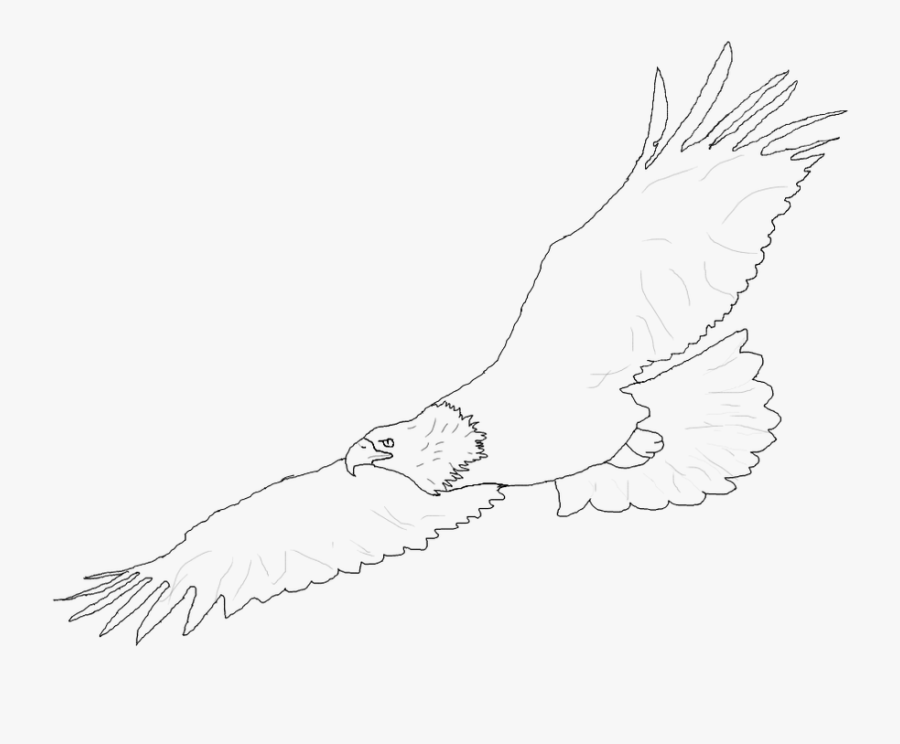 Lineart Eagle Flying - Sketch, Transparent Clipart