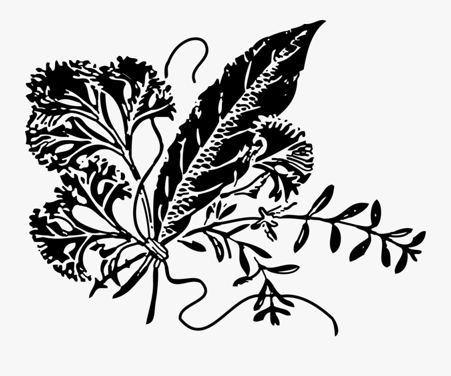 Herbs - Herb Clipart In Black, Transparent Clipart