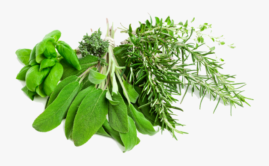Clip Art Png Transparent Free Download - Fresh Herbs, Transparent Clipart