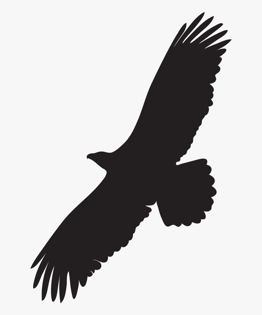Bald Eagle Overview, All About Birds, Cornell Lab Of - Silhouette Of A Bald Eagle, Transparent Clipart