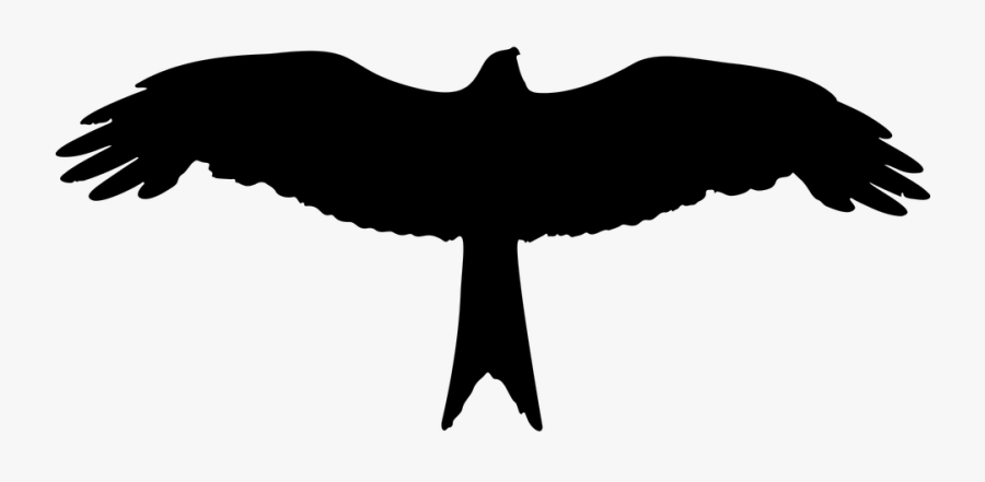 Eagle Silhouette Clip Art, Transparent Clipart