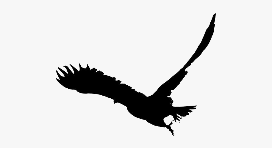 Eagle Drawings Png Transparent Images - Golden Eagle, Transparent Clipart