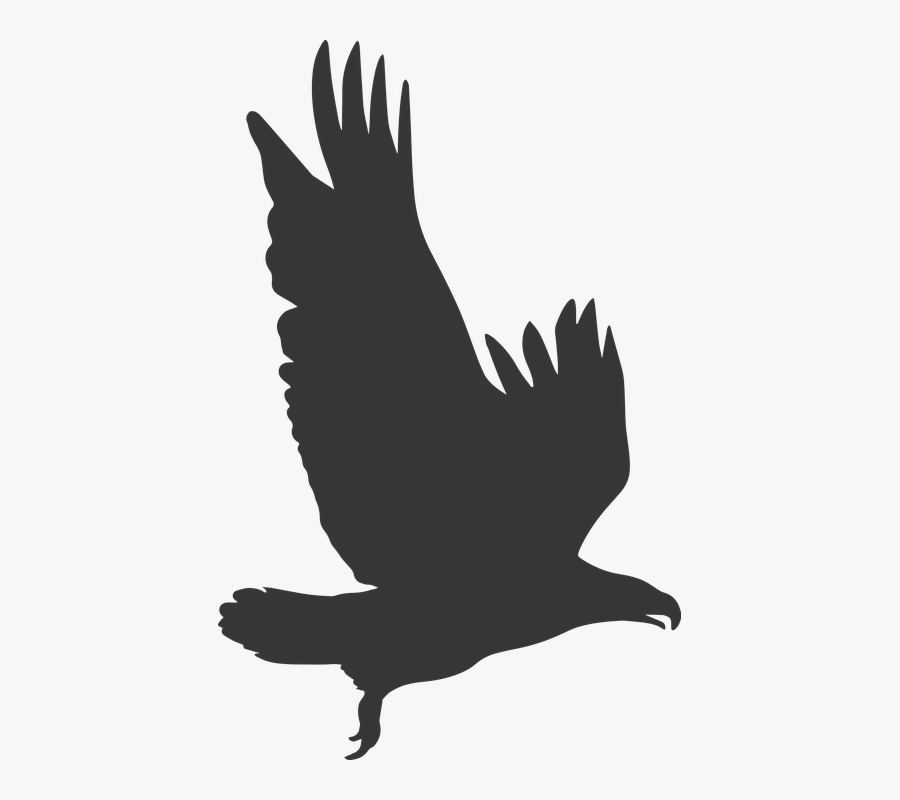 White Tailed Eagle Clipart Agila - Eagle Silhouette Clip Art, Transparent Clipart