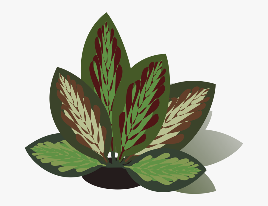 Herb,plant,leaf - Illustration, Transparent Clipart