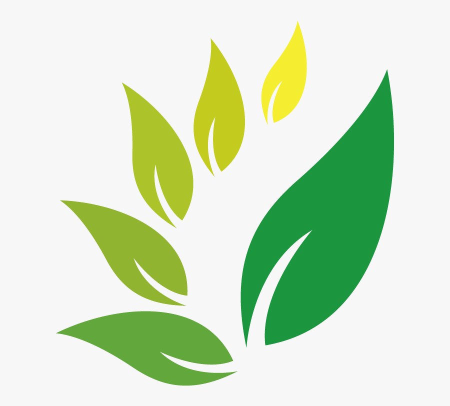 Jamu Herb Indian Jujube Herbal Logo Clipart - Herbal Logo Png, Transparent Clipart