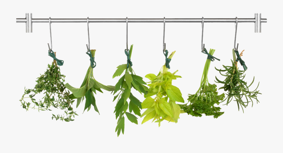 Herb Png Pic - Transparent Background Herbs Clipart, Transparent Clipart