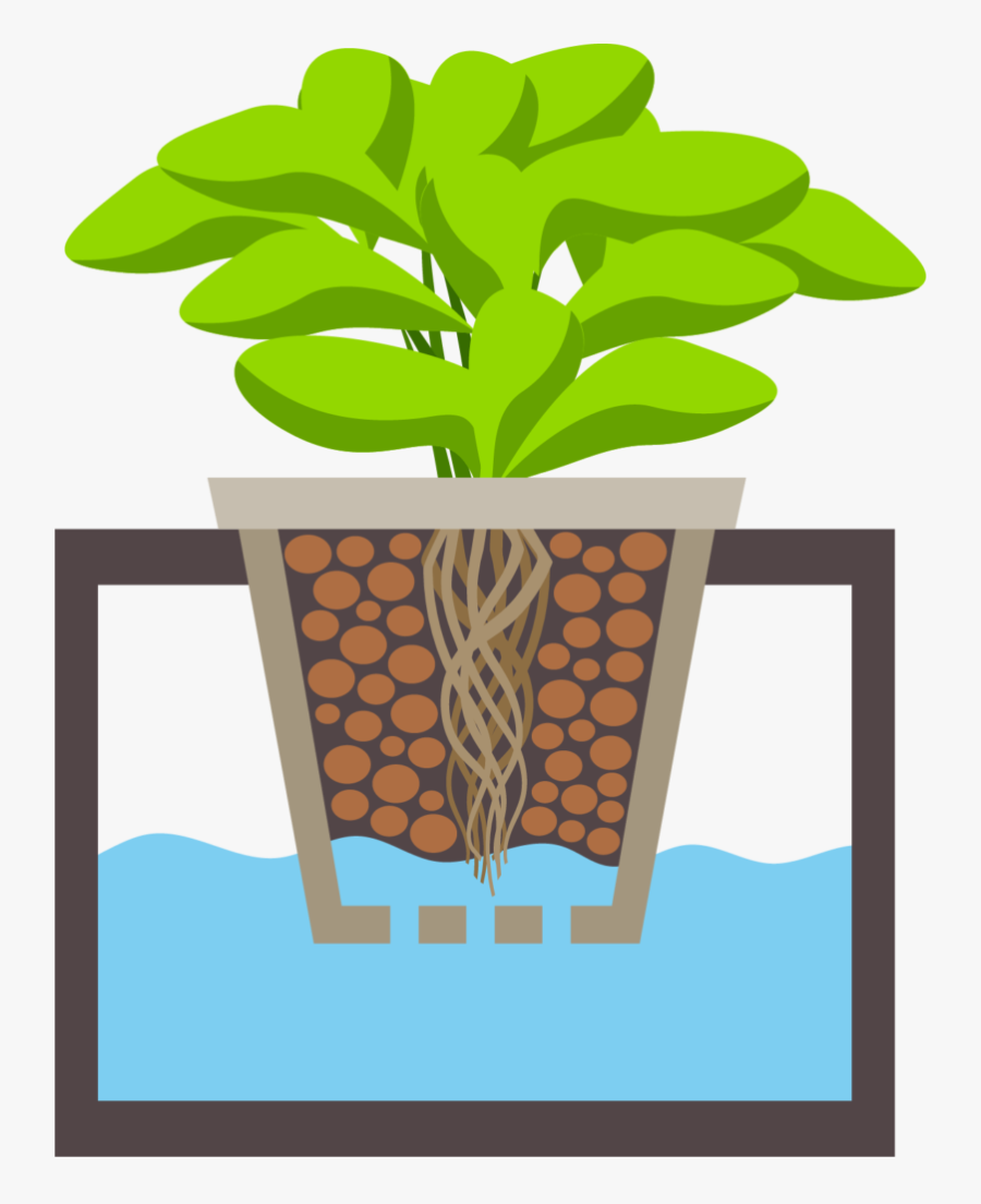 Crops Clipart Herb Garden - Hydroponic Garden Clipart, Transparent Clipart