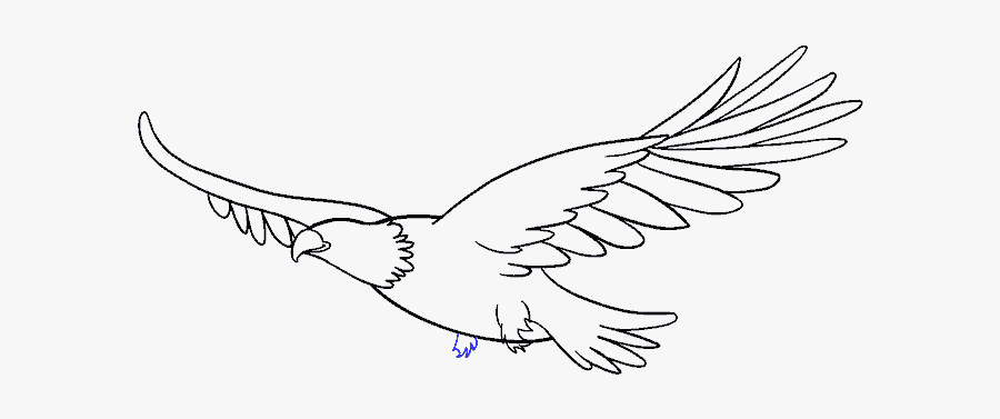 How To Draw An Eagle In A Few Easy Steps Easy Drawing - Drawing Of An Eagle Flying, Transparent Clipart