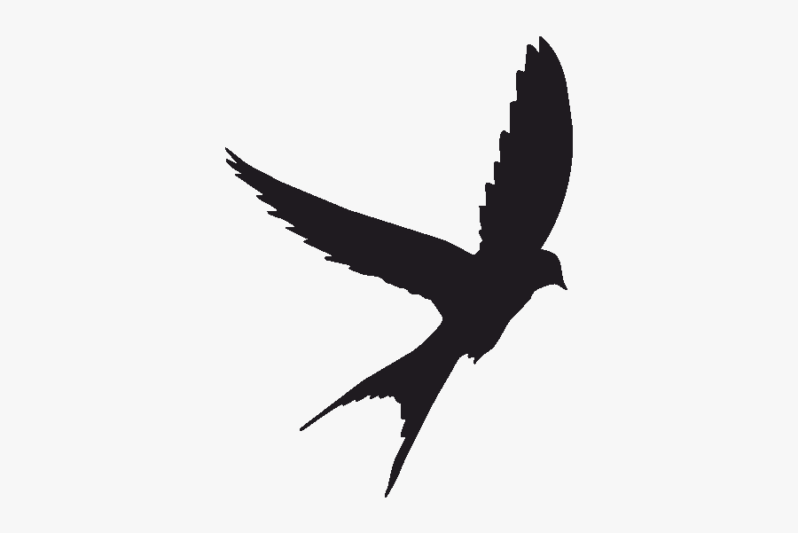 Tattoo Swallow Silhouette Bird Eagle Free Download - Scissor Tailed Flycatcher Silhouette, Transparent Clipart