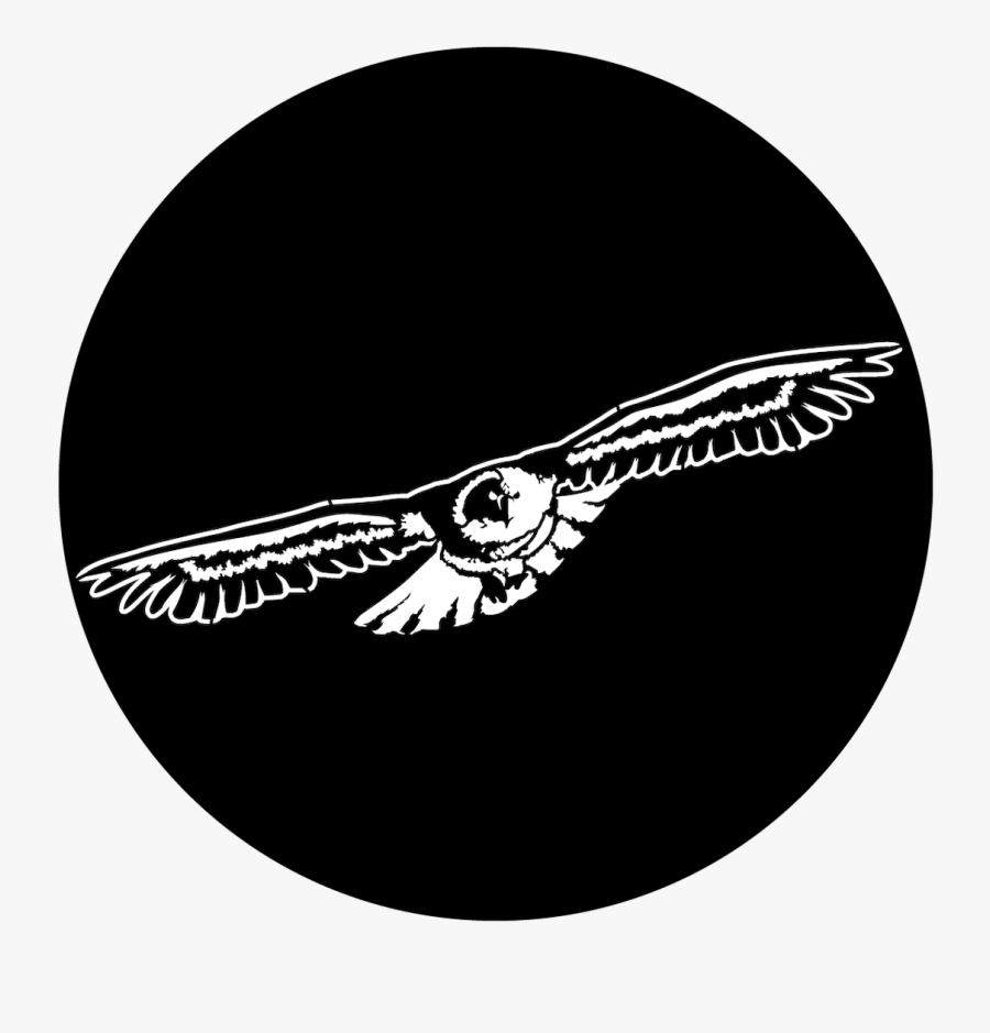 Apollo Design 1136 Soaring Eagle Steel Pattern Clipart - Circle, Transparent Clipart