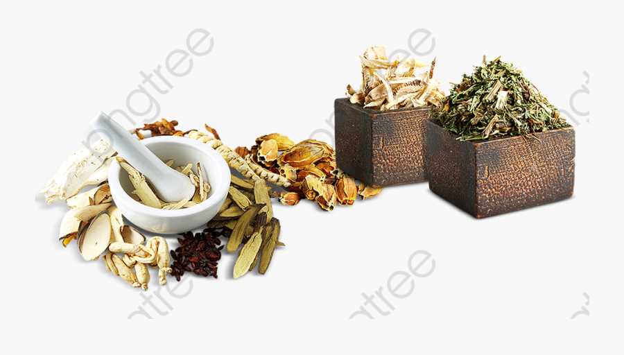 Herbal Material - 藥材 素材 Png, Transparent Clipart