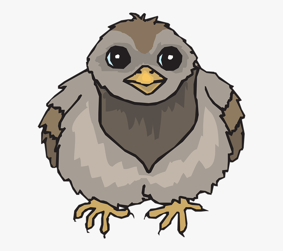 Clip Art, Transparent Clipart