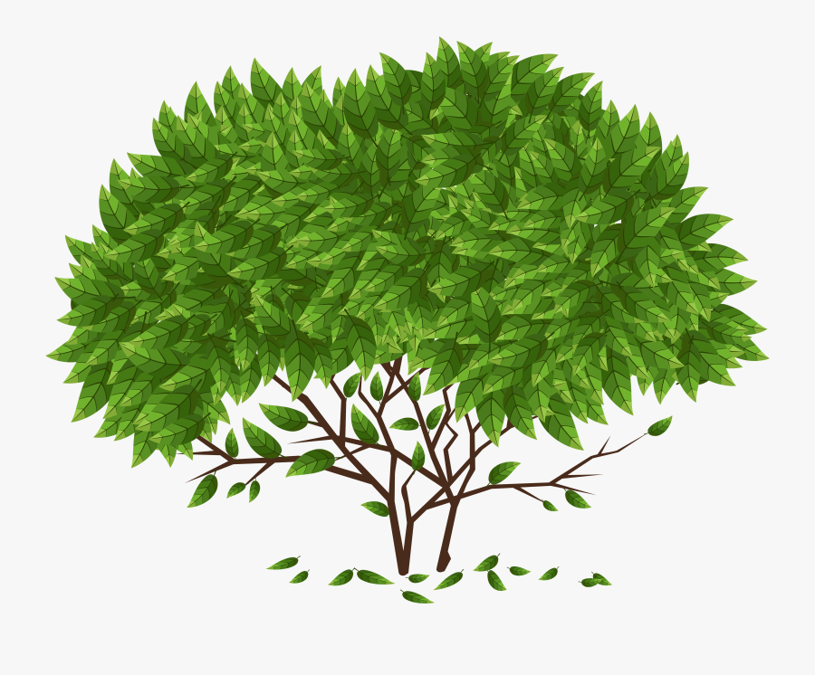 Tree Png Clip Art - Knowledge Make You Humble Quotes, Transparent Clipart