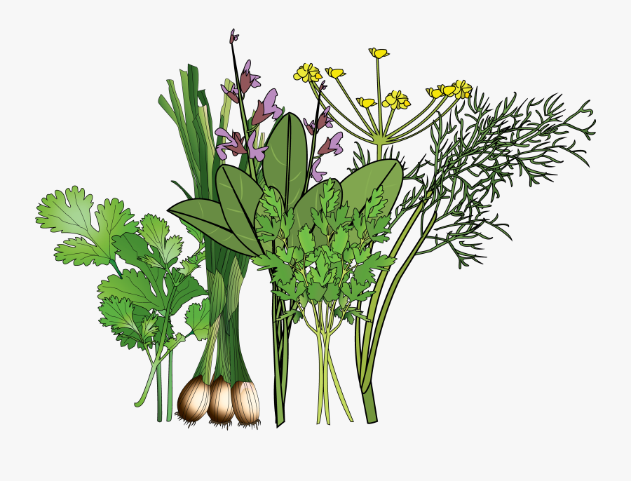 Bouquet, Transparent Clipart