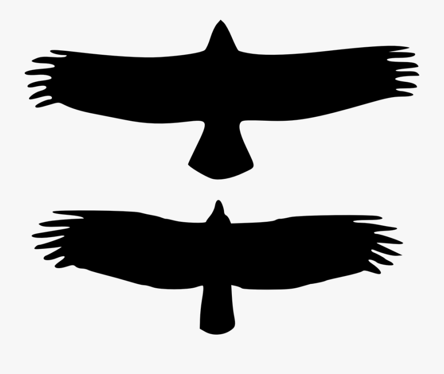 Silhouette, Birds, Flying, Black, Wings, Pair, Couple - Turkey Vulture Silhouette Vs Bald Eagle, Transparent Clipart