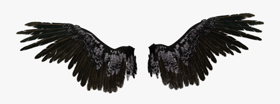 Eagle Neck Drawing Castiel Wings Free Hq Image - Black Angel Wings Transparent, Transparent Clipart