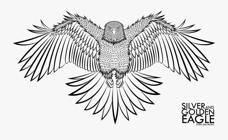 Line Drawing Eagle - Gold Eagle Logo Png, Transparent Clipart