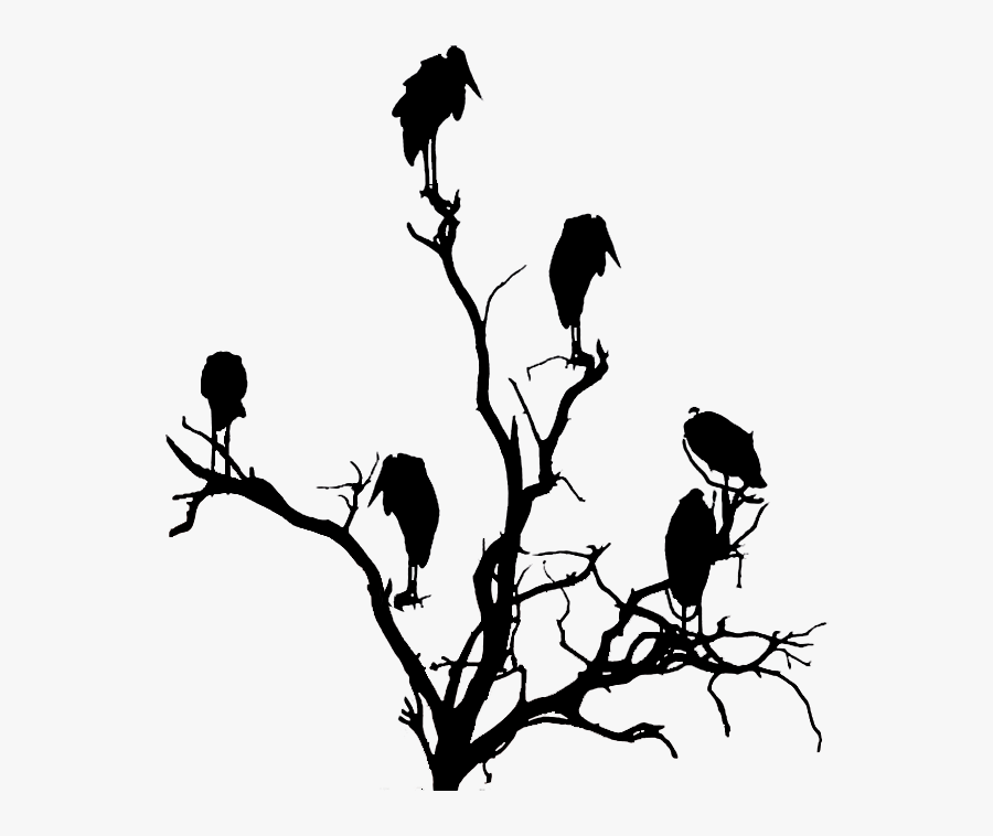 Vulture In A Tree Silhouette - Vulture In A Tree Drawing, Transparent Clipart