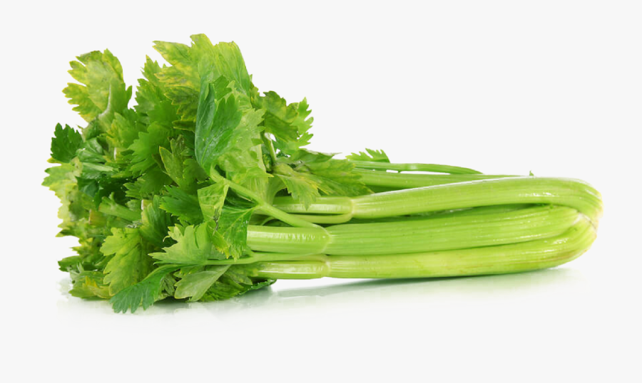 Celery Clipart Transparent - Celery Meaning In Hindi, Transparent Clipart