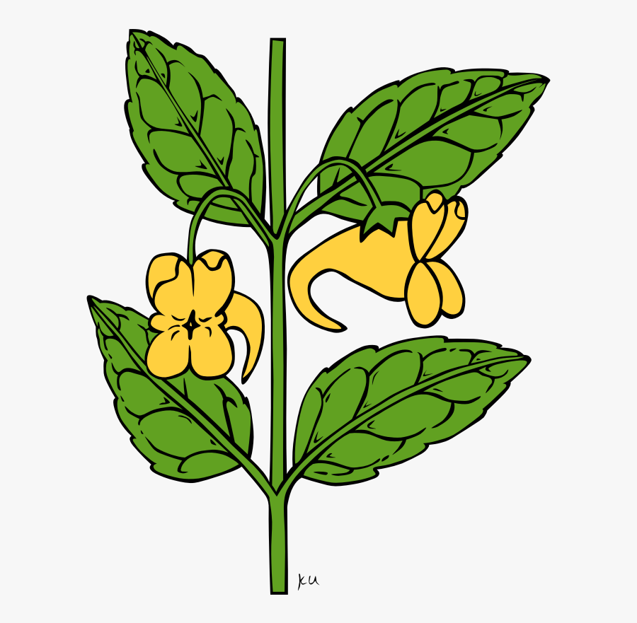 Free Plant Clipart Black And White, Transparent Clipart