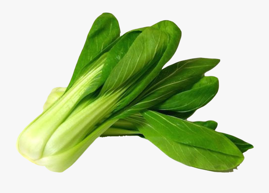 Bok Choy Png Image - Bok Choy Png, Transparent Clipart
