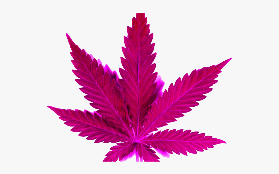 Weed Png, Transparent Clipart