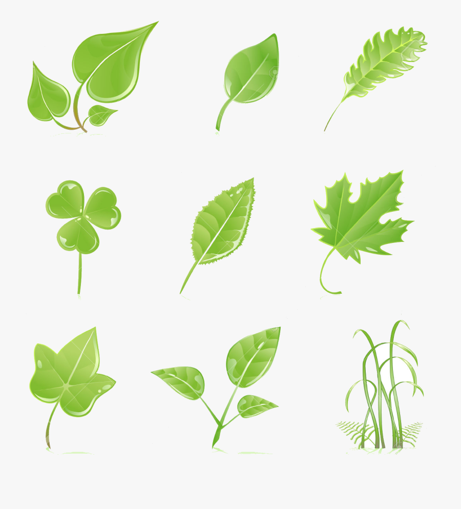 Grass Green Clipart At Free For Personal Use Transparent - Leaves Clip Art, Transparent Clipart