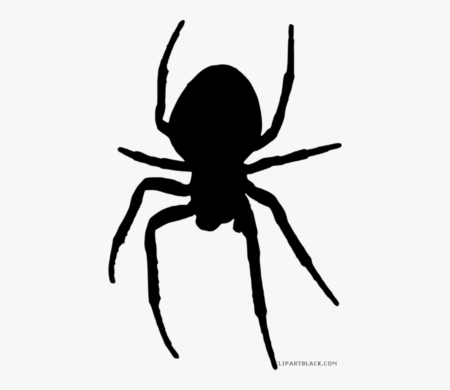 Transparent Spider Clipart Png - Spider Silhouette Clip Art, Transparent Clipart