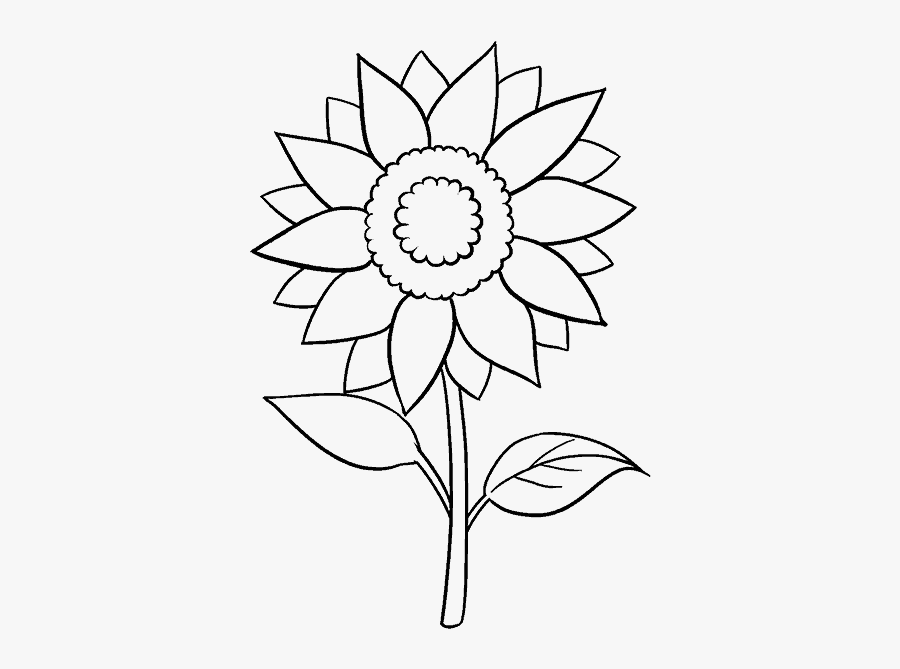Graphic Black And White Library Drawing Pic Easy - Easy Sunflower Drawing Black And White, Transparent Clipart