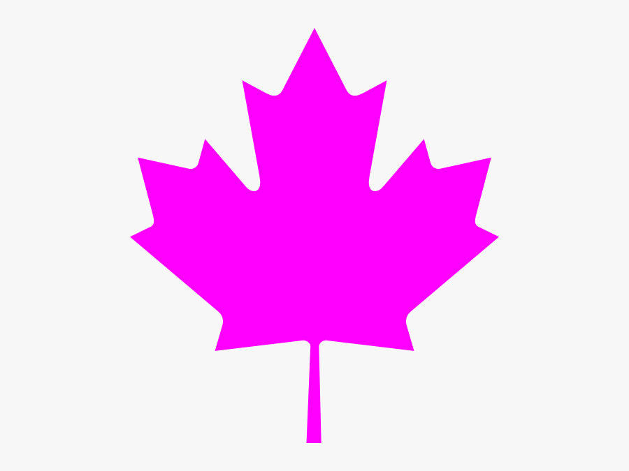 Canada Maple Leaf Transparent, Transparent Clipart