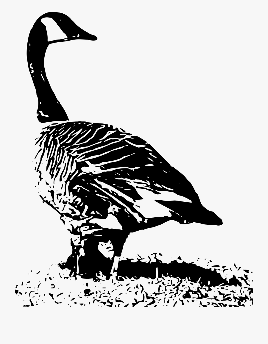 Clip Art Canada - Clip Art, Transparent Clipart