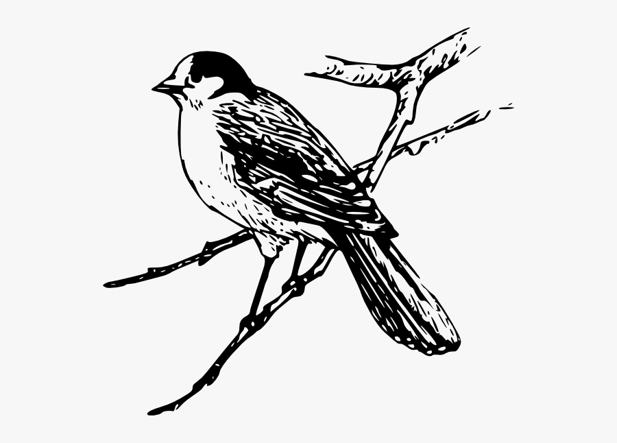 Maya Clipart Black And White, Transparent Clipart