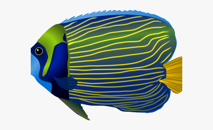 Tropical Fish Clipart Fresh Water Fish - Ocean Fish Clipart, Transparent Clipart