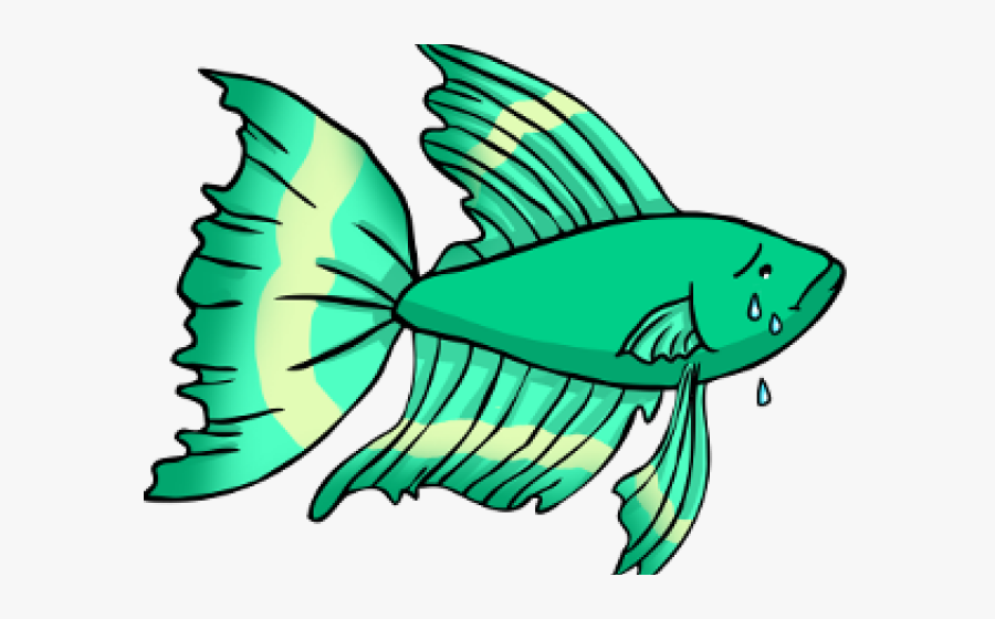 Tropical Fish Clipart Betta Fish - Logo Betta Fish Png , Free Transparent.....