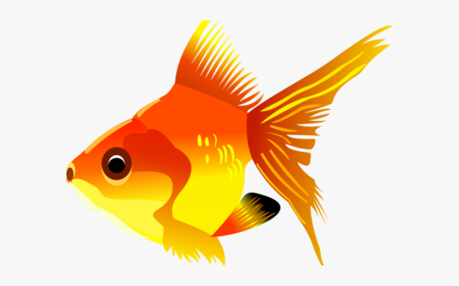 Tropical Fish Clipart Transparent Background - Golden Fish Clipart, Transparent Clipart