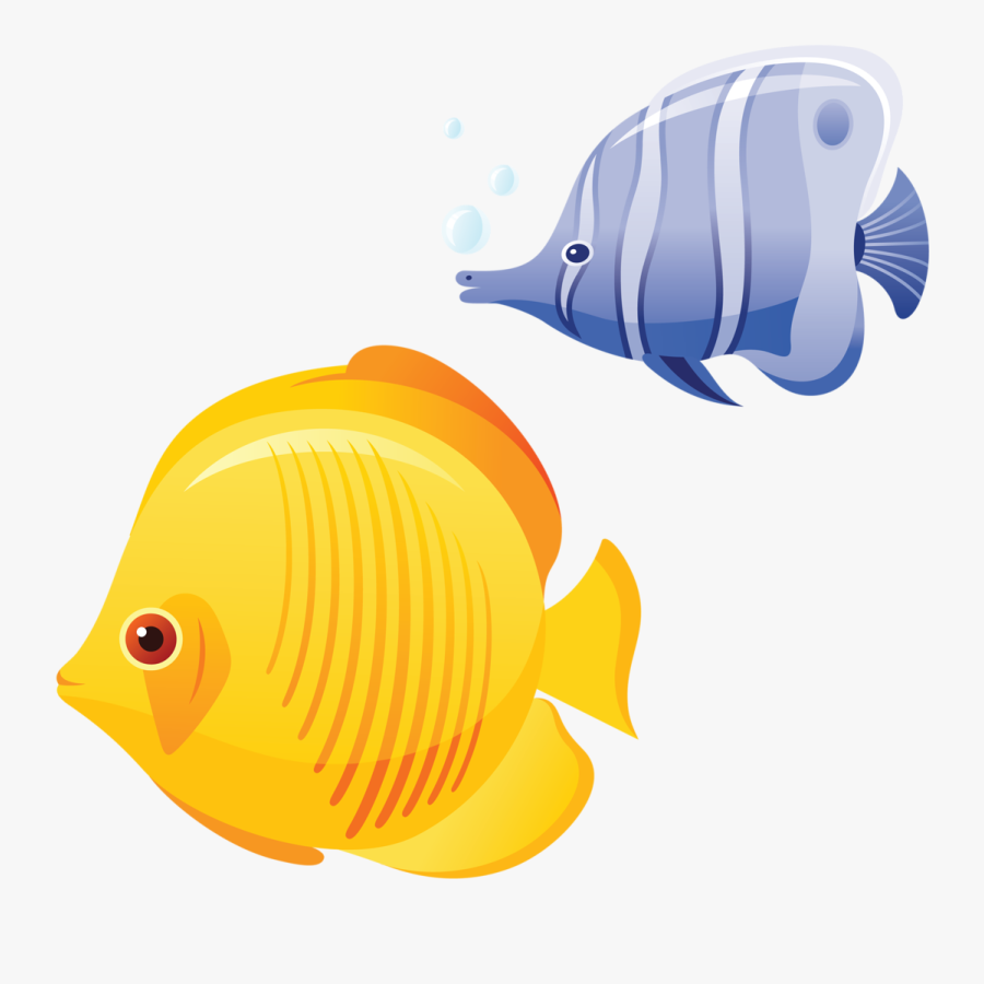 Transparent Tropical Fish Png - Tropical Fish Clip Art, Transparent Clipart