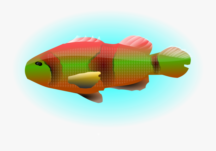 Organism,fish,green - Koi, Transparent Clipart