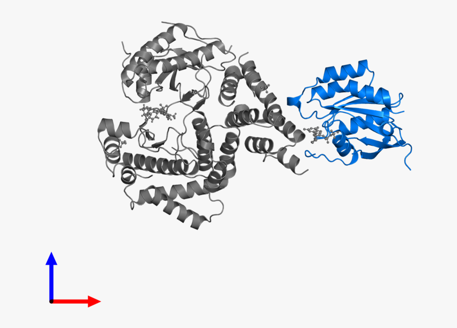 Graphic Design, Transparent Clipart