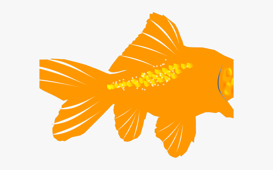 Sealife Png, Transparent Clipart