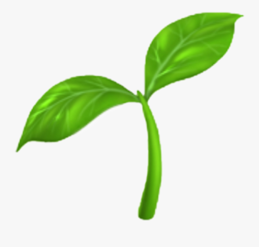 Transparent Sprout Clipart - Plant Emoji Iphone, Transparent Clipart