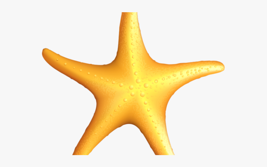Star Fish Clipart, Transparent Clipart
