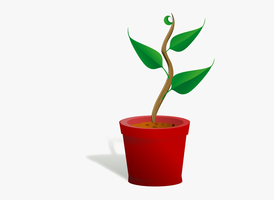 Growing Plant Png Free Download - Getting To Know Plants, Transparent Clipart