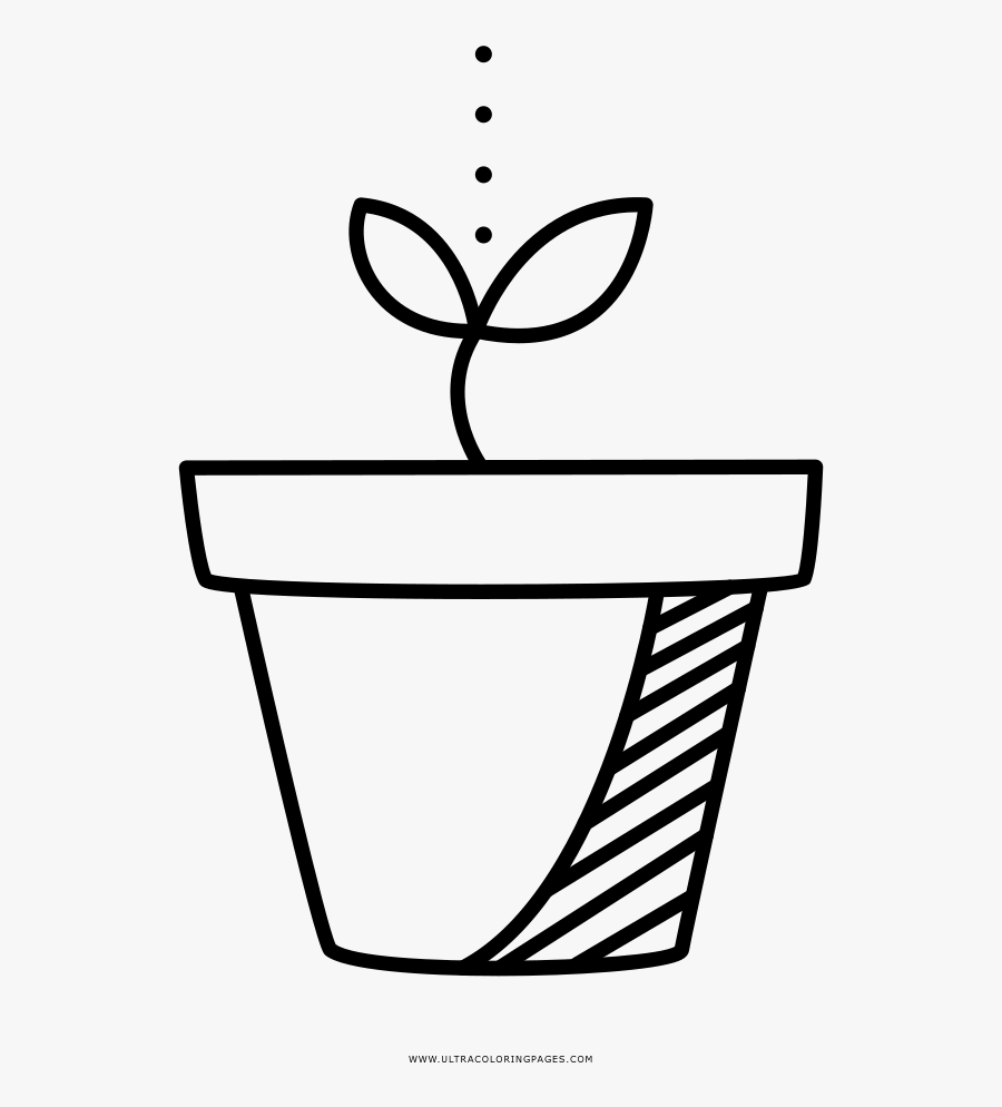 Cliparts For Free Download Sprout Clipart Drawing And - Desenho Brotar Para Colorir, Transparent Clipart