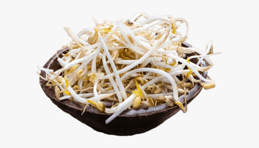 Bowl Of Soybean Sprouts - Bean Sprout Transparent Background, Transparent Clipart