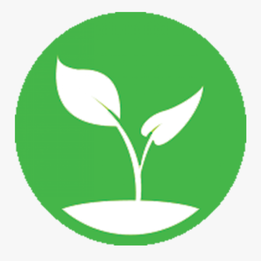 Transparent Budget Icon Png - Sprout Vector, Transparent Clipart