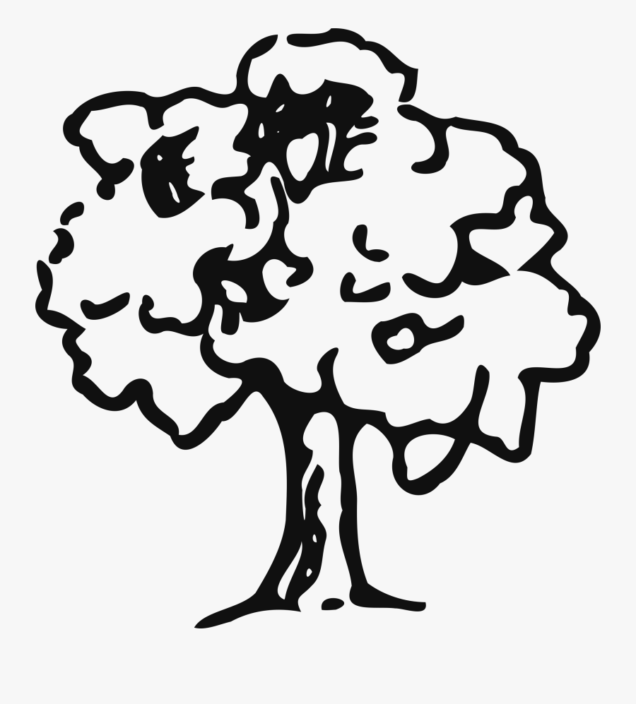 Nucleo Zoologico El Bosque, Transparent Clipart