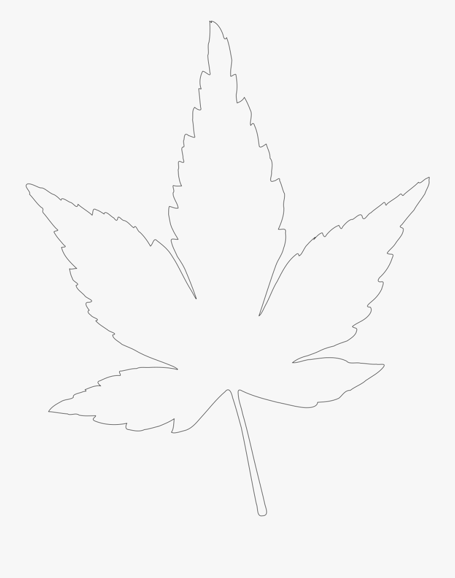 Superior Maple Tree Outline Leaf Green Sign Canadian - Sketch, Transparent Clipart